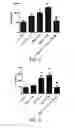 Fig. 05 - Use of A2B Adenosine Receptor Antagonists for Treating Pulmonary Hypertension