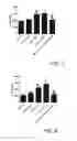 Fig. 06 - Use of A2B Adenosine Receptor Antagonists for Treating Pulmonary Hypertension
