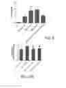 Fig. 07 - Use of A2B Adenosine Receptor Antagonists for Treating Pulmonary Hypertension