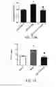 Fig. 11 - Use of A2B Adenosine Receptor Antagonists for Treating Pulmonary Hypertension