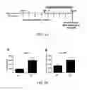 Fig. 12 - Use of A2B Adenosine Receptor Antagonists for Treating Pulmonary Hypertension