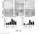 Fig. 13 - Use of A2B Adenosine Receptor Antagonists for Treating Pulmonary Hypertension