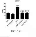 Fig. 14 - Use of A2B Adenosine Receptor Antagonists for Treating Pulmonary Hypertension