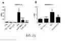 Fig. 17 - Use of A2B Adenosine Receptor Antagonists for Treating Pulmonary Hypertension