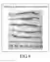Fig. 07 - PHARMACEUTICAL COMPOSITION FOR TREATING OR RELEIVING INFLAMMATORY BOWEL DISEASE