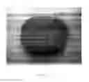 Fig. 04 - Bread Product And Method