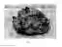 Fig. 08 - Bread Product And Method
