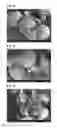Fig. 02 - Process for Producing Cassava Flour