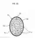 Fig. 20 - MANURACTURING METHOD OF EGG WITH EDIBLE COMPOSITION
