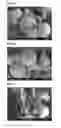 Fig. 02 - Cassava Products