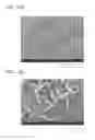 Fig. 14 - MANUFACTURING METHOD OF ENERGY STORAGE DEVICE