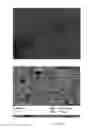 Fig. 05 - METHOD FOR PRODUCING AMORPHOUS METAL ORGANIC MACROMOLECULES, MATERIAL OBTAINED BY SAID METHOD, AND USE THEREOF