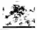 Fig. 15 - Fine particles