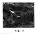 Fig. 13 - METHOD FOR DEPOSITING NANOPARTICLES ON A SUPPORT