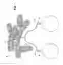 Fig. 02 - ORNAMENTAL HANGER
