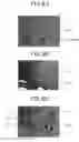 Fig. 07 - HONEYCOMB STRUCTURE BODY AND METHOD OF PRODUCING THE SAME