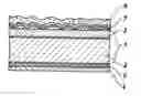 Fig. 01 - Elastic laminate