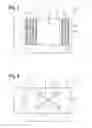 Fig. 03 - WIPES HAVING A NON-HOMOGENEOUS STRUCTURE