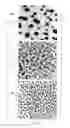 Fig. 05 - Nano-structured dielectric composite
