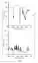 Fig. 06 - Nano-structured dielectric composite
