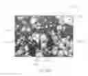 Fig. 10 - Artificial marble