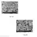 Fig. 05 - Polysaccharide-based pigments and fillers