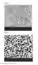 Fig. 02 - Method for reducing volatile organic compounds in composite resin particles, and composite resin particles