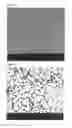 Fig. 09 - Method for reducing volatile organic compounds in composite resin particles, and composite resin particles