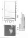 Fig. 07 - Molybdenum-containing targets comprising three metal elements