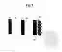 Fig. 02 - PROTECTED METAL ANODE ARCHITECTURE AND METHOD OF FORMING THE SAME