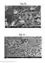 Fig. 08 - PROTECTED METAL ANODE ARCHITECTURE AND METHOD OF FORMING THE SAME