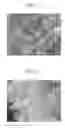 Fig. 02 - Method of manufacturing positive electrode active material for lithium ion battery, positive electrode active material for lithium ion battery, electrode for lithium ion battery, and lithium ion battery