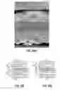 Fig. 55 - Fuel cell device and system