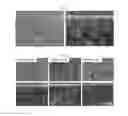 Fig. 05 - Anode-supported solid oxide fuel cell comprising a nanoporous layer having a pore gradient structure, and a production method therefor