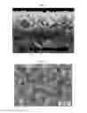 Fig. 07 - Anode-supported solid oxide fuel cell comprising a nanoporous layer having a pore gradient structure, and a production method therefor