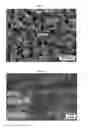 Fig. 08 - Anode-supported solid oxide fuel cell comprising a nanoporous layer having a pore gradient structure, and a production method therefor