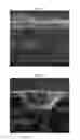 Fig. 10 - Anode-supported solid oxide fuel cell comprising a nanoporous layer having a pore gradient structure, and a production method therefor