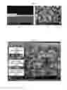 Fig. 13 - Anode-supported solid oxide fuel cell comprising a nanoporous layer having a pore gradient structure, and a production method therefor