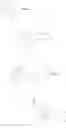 Fig. 166 - Method of forming pattern and developer for use in the method