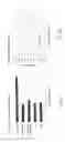 Fig. 07 - Jet Injector Use In Oral Evaluation