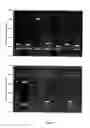 Fig. 22 - Biological control of nanoparticle nucleation, shape and crystal phase