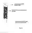 Fig. 28 - Biological control of nanoparticle nucleation, shape and crystal phase