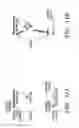 Fig. 17 - Modular nucleic acid-based circuits for counters, binary operations, memory and logic
