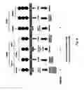 Fig. 20 - Means and methods for investigating nucleic acid sequences