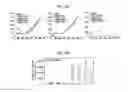 Fig. 37 - CANCER BIOMARKERS AND METHODS OF USE THEREOF