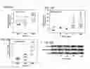 Fig. 44 - CANCER BIOMARKERS AND METHODS OF USE THEREOF