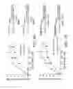 Fig. 04 - GENETIC POLYMORPHISMS IN THE PROSTATE-SPECIFIC ANTIGEN GENE PROMOTER