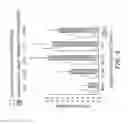 Fig. 05 - GENETIC POLYMORPHISMS IN THE PROSTATE-SPECIFIC ANTIGEN GENE PROMOTER