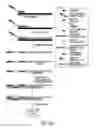 Fig. 04 - Tagged oligonucleotides and their use in nucleic acid amplification methods