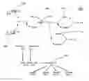 Fig. 01 - Essential genes encoding conserved metabolic pathway function in autotrophic solventogenic clostridial species